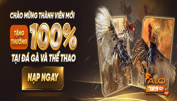 ALO789 có nhiều khuyến mãi dành riêng cho Đá Gà Trực Tuyến ALO789 có nhiều khuyến mãi dành riêng cho Đá Gà Trực Tuyến