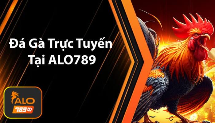 Đá Gà Trực Tuyến tại ALO789 Đá Gà Trực Tuyến tại ALO789