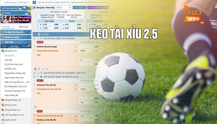 Kèo tài xỉu 2.5 trong bóng đá là gì