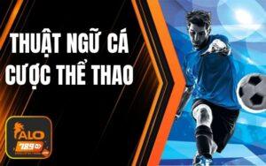 Giải Mã Thuật Ngữ Cá Cược Thể Thao - Kiến Thức Cơ Bản Cho Mọi Cược Thủ